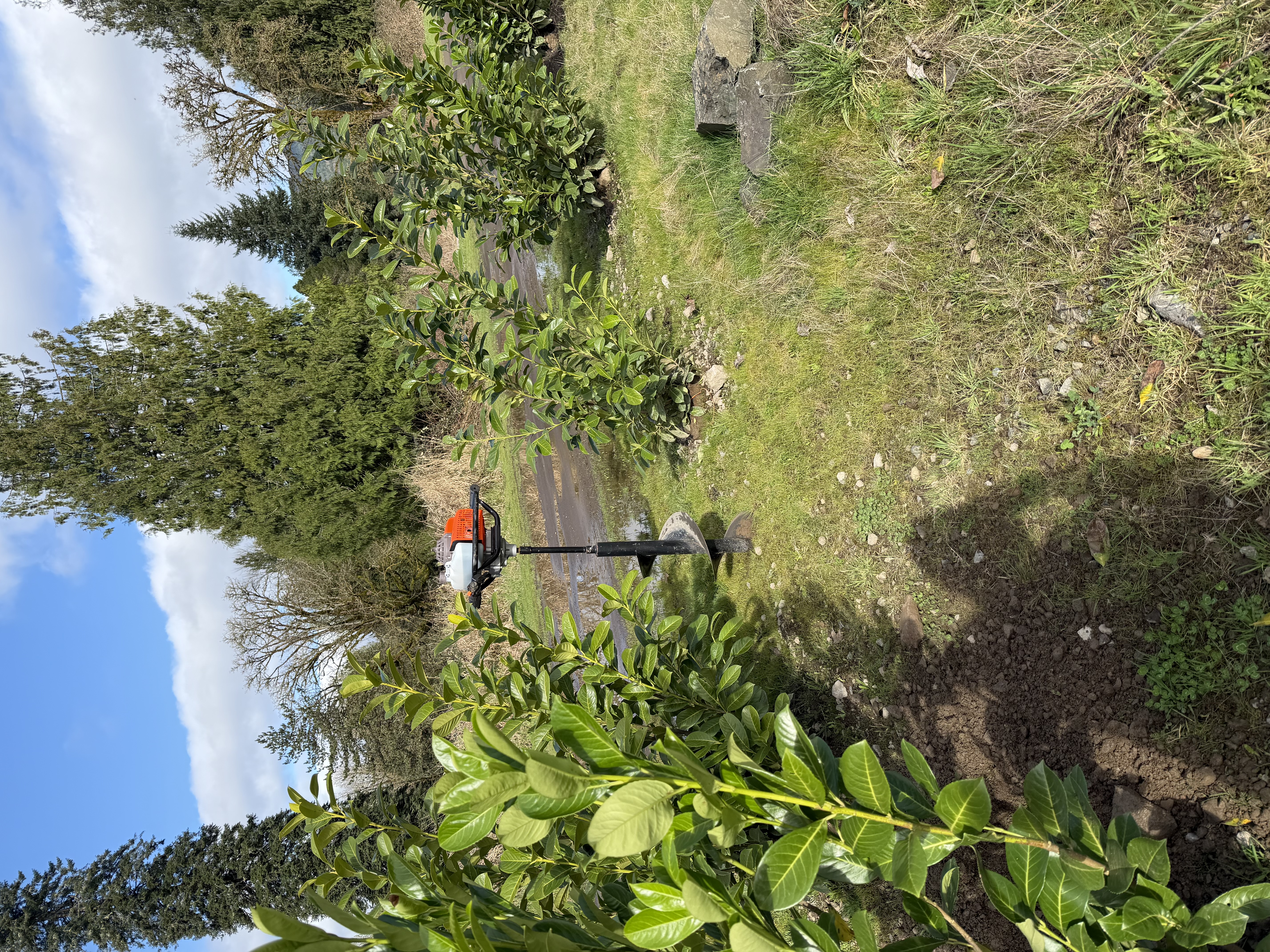 Power auger drilling planting holes on the estate grounds, with mimosa foliage in the foreground and blue sky above